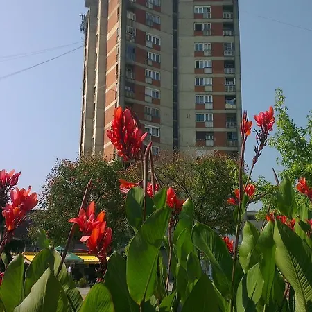 Hotel Konaciste 2*